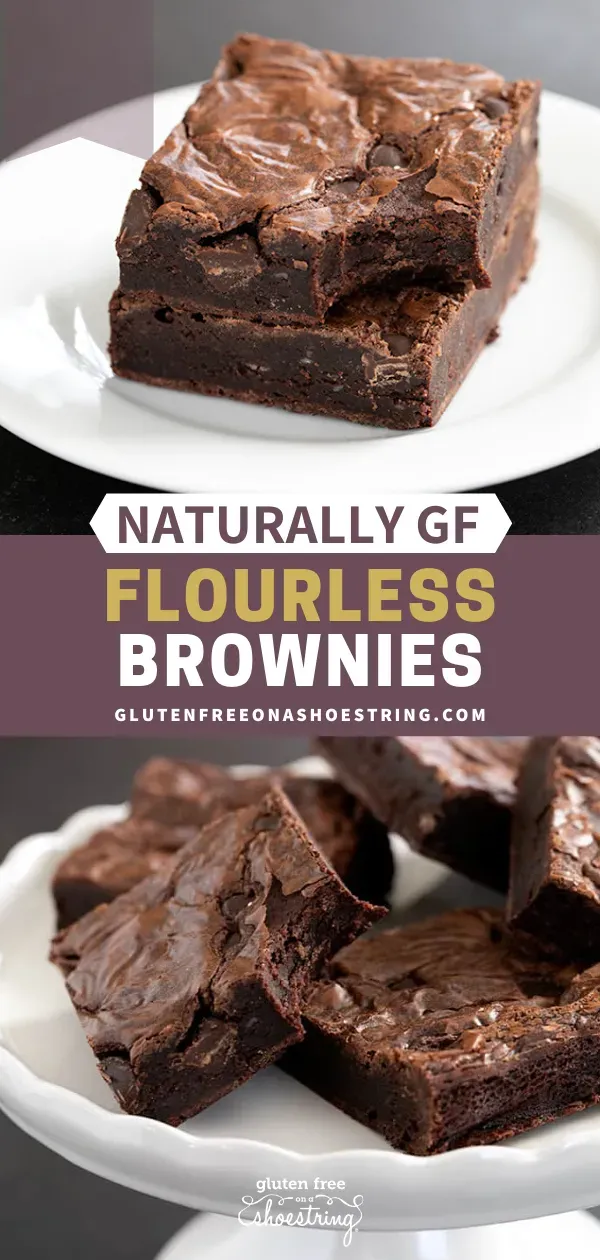 Amazing Fudgy Chocolate Recipes - Browniesrecipes