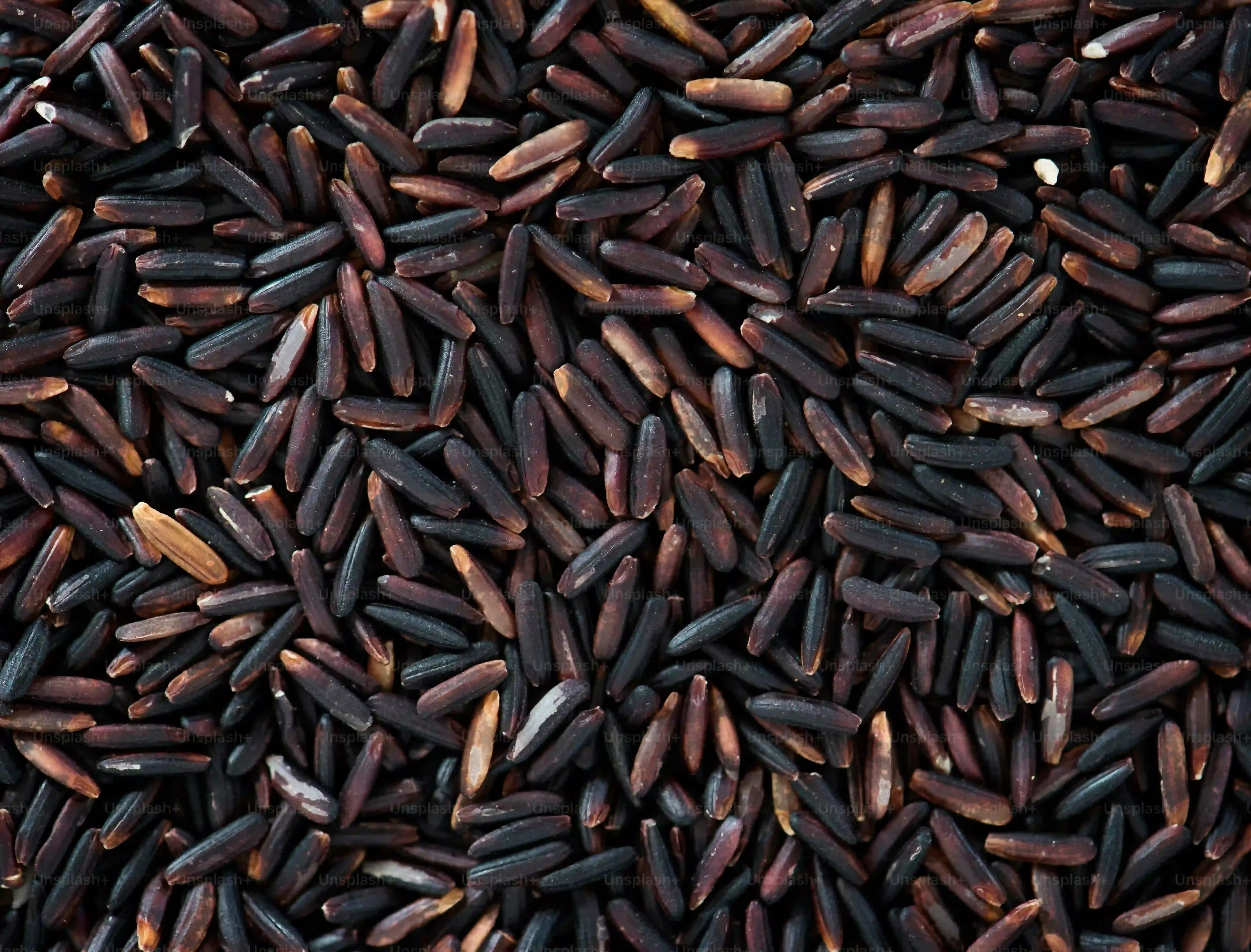 Baking Up the Best Black Bean Brownies: StepbyStep