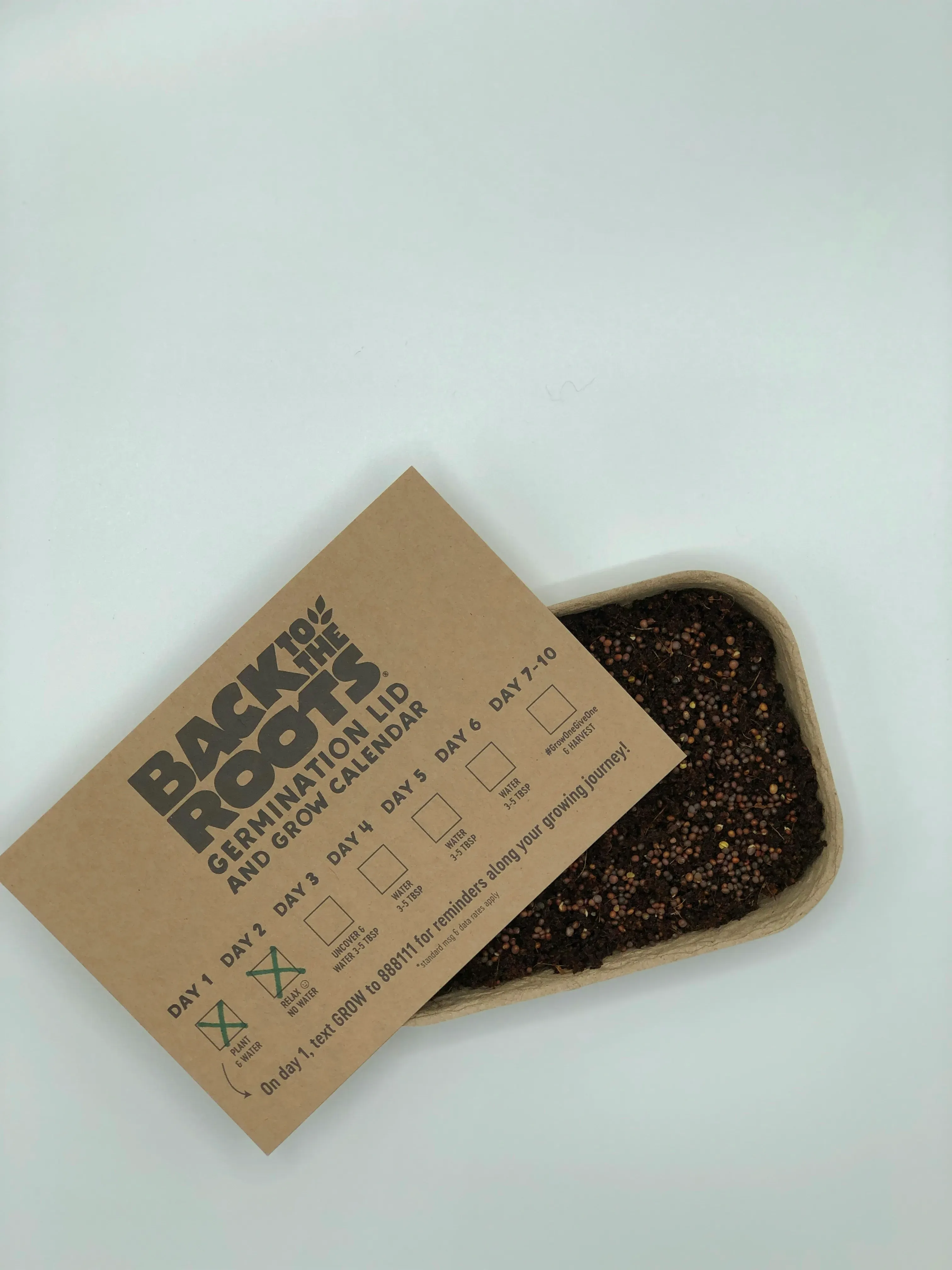 Beyond the Basics: Tweaks and Troubleshooting Your Black Bean Brownies