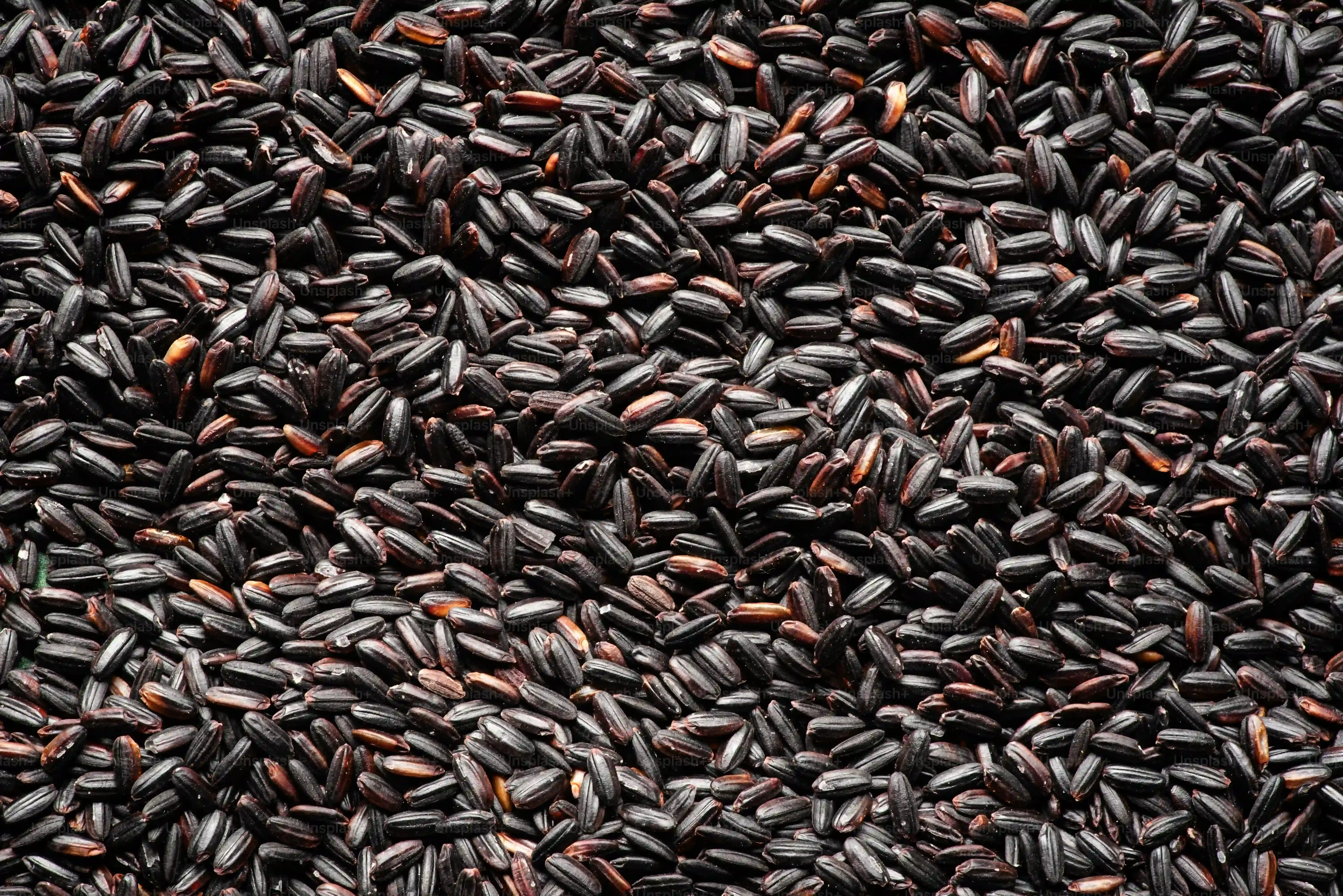 Beyond the Beans: Key Ingredients in These Healthy Brownies