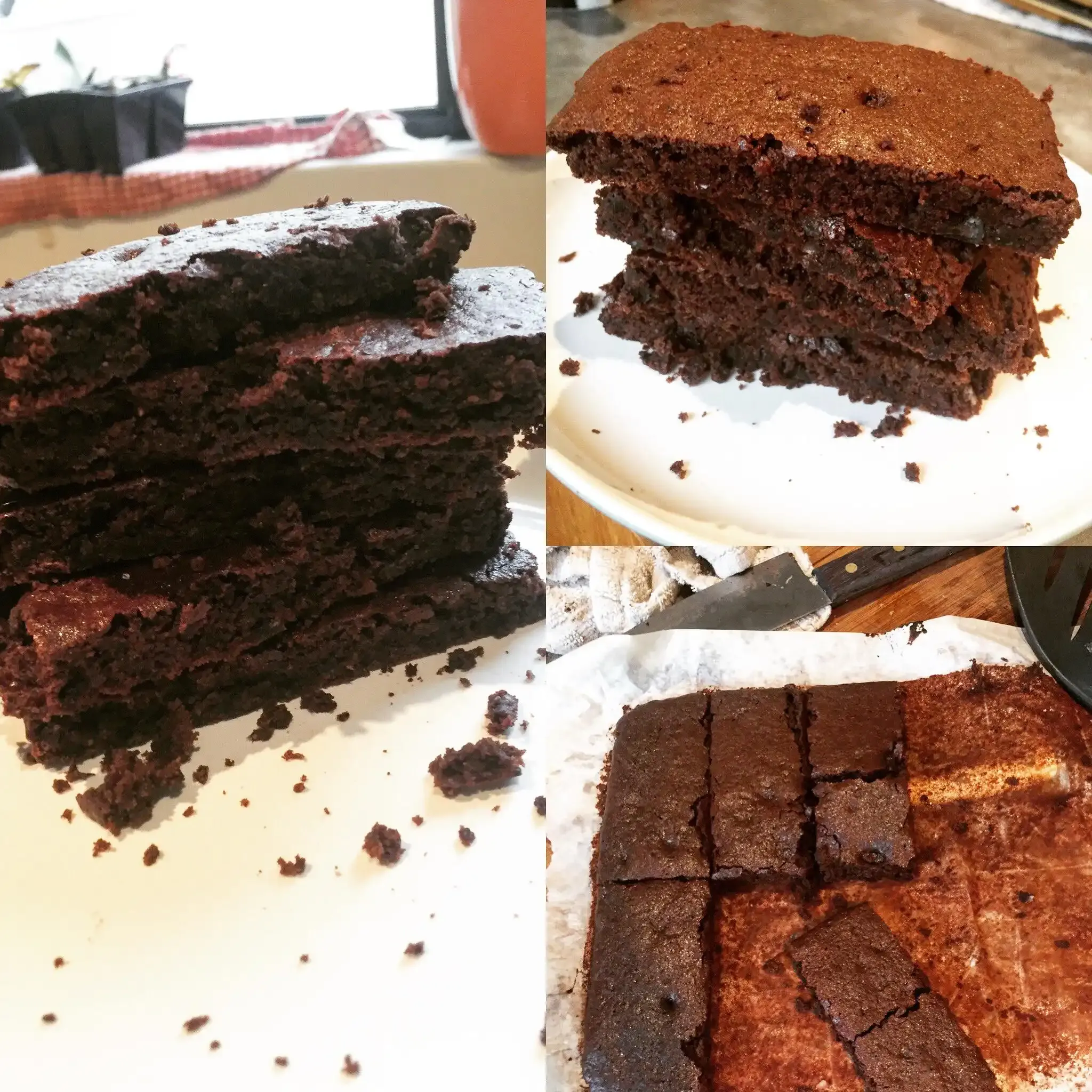 Black bean brownies reddit: surprising truth revealed