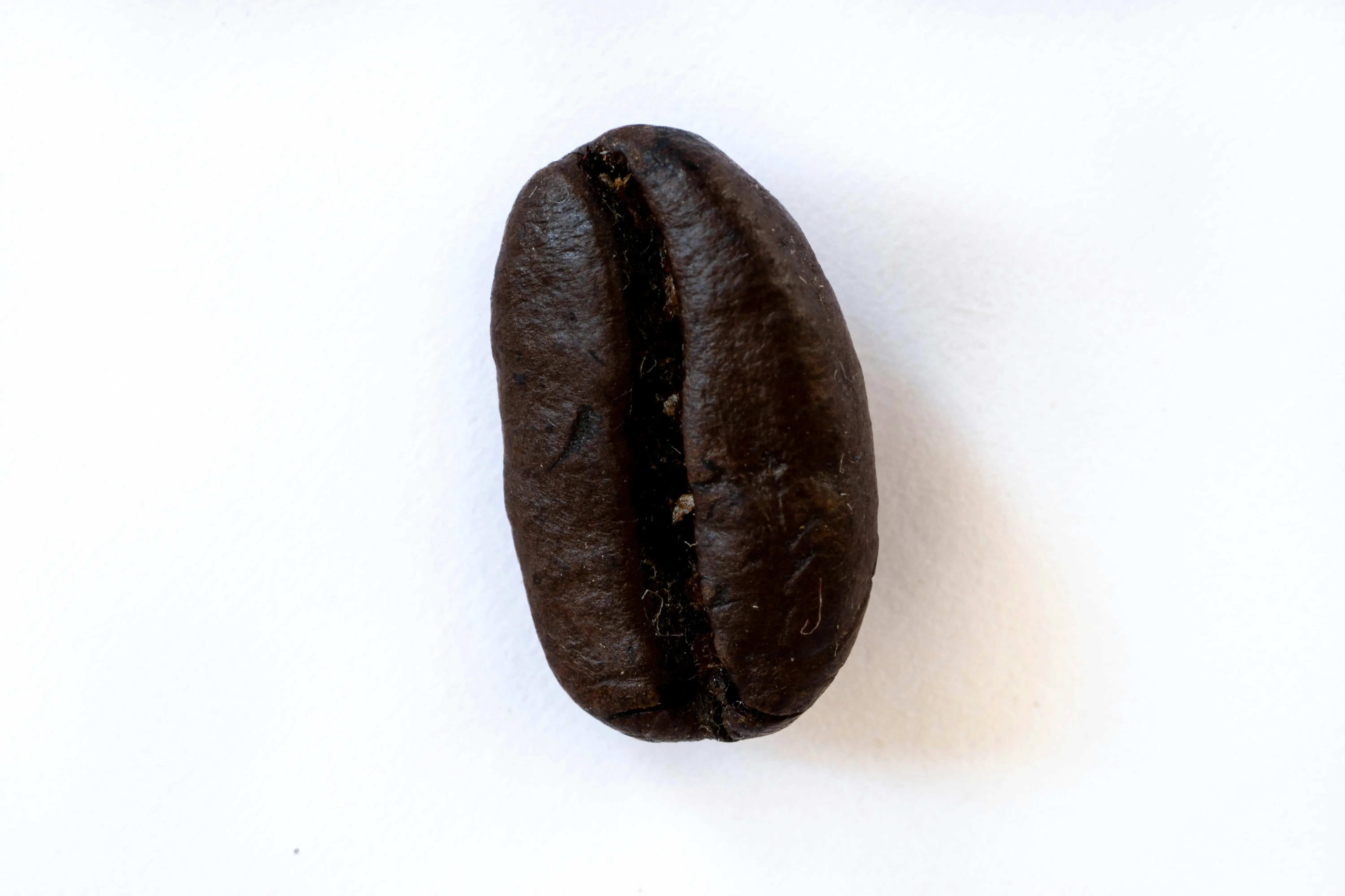Putting Your Black Bean Brownie Batter to Work: Beyond the Basic Brownie