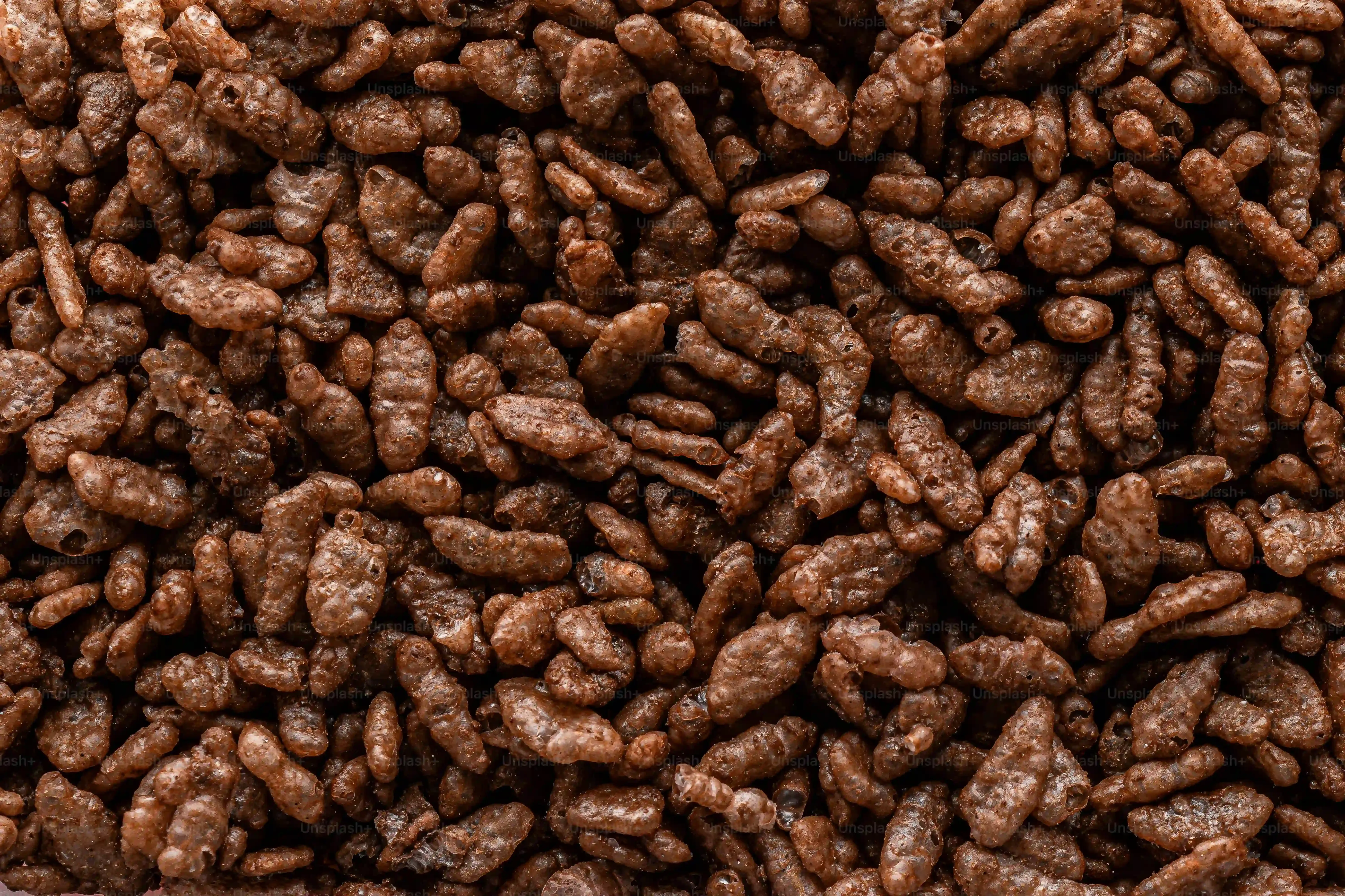 StepbyStep Guide to Baking the Best Black Bean Brownies Gluten Free