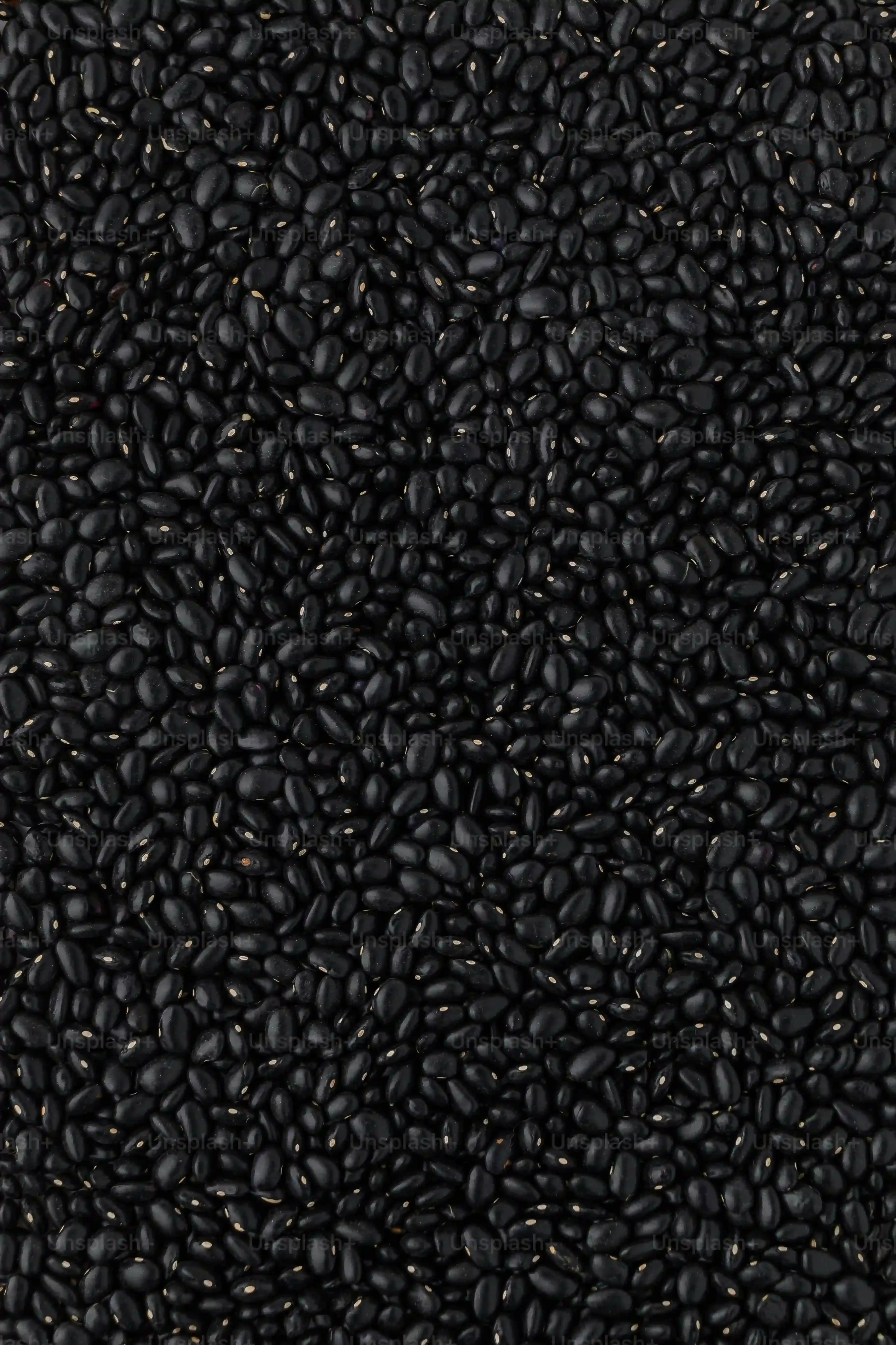 Troubleshooting and Tweaking Your Black Bean Brownie