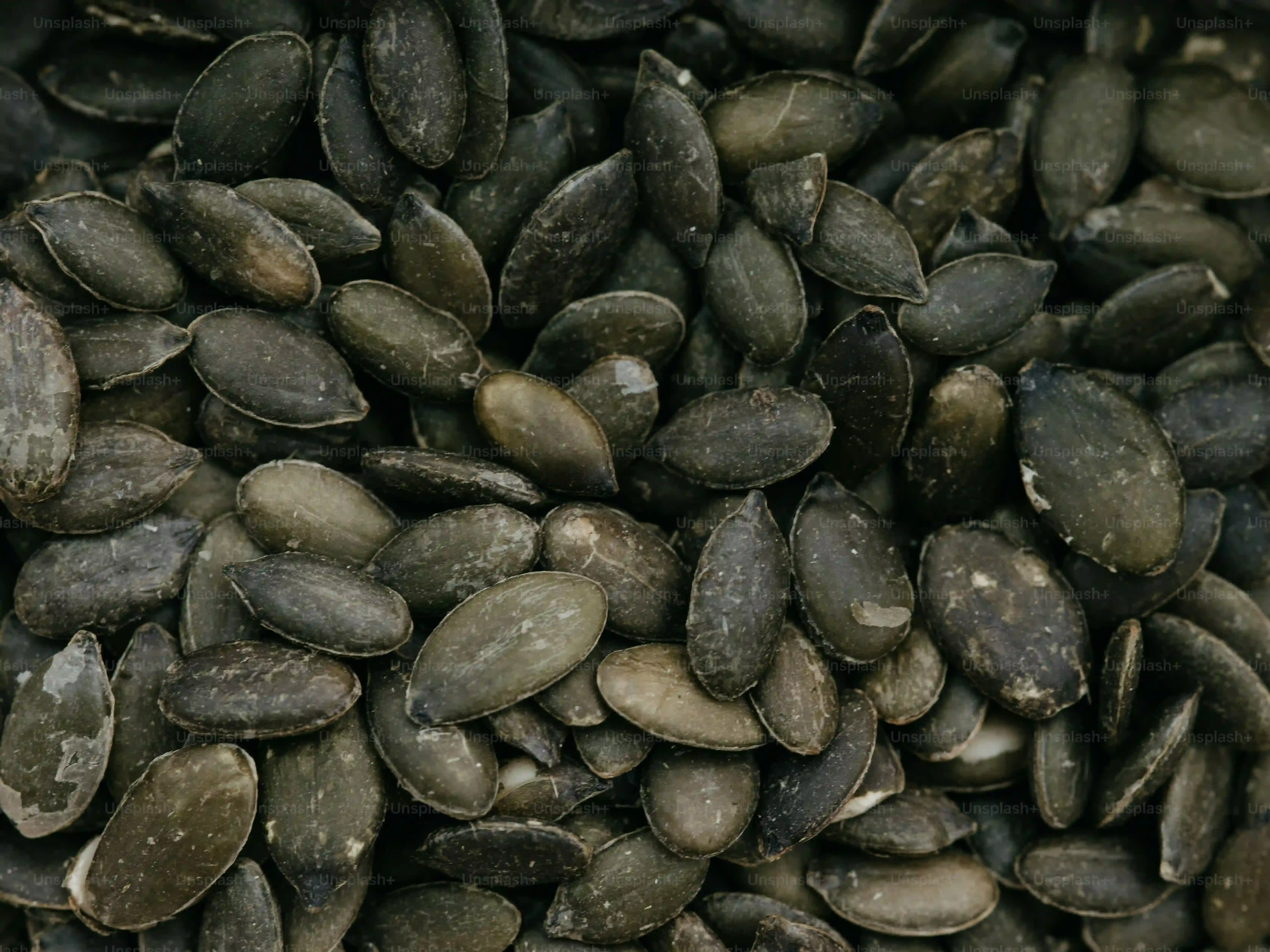 Troubleshooting & Tips for Perfect Black Bean Brownies with Agave