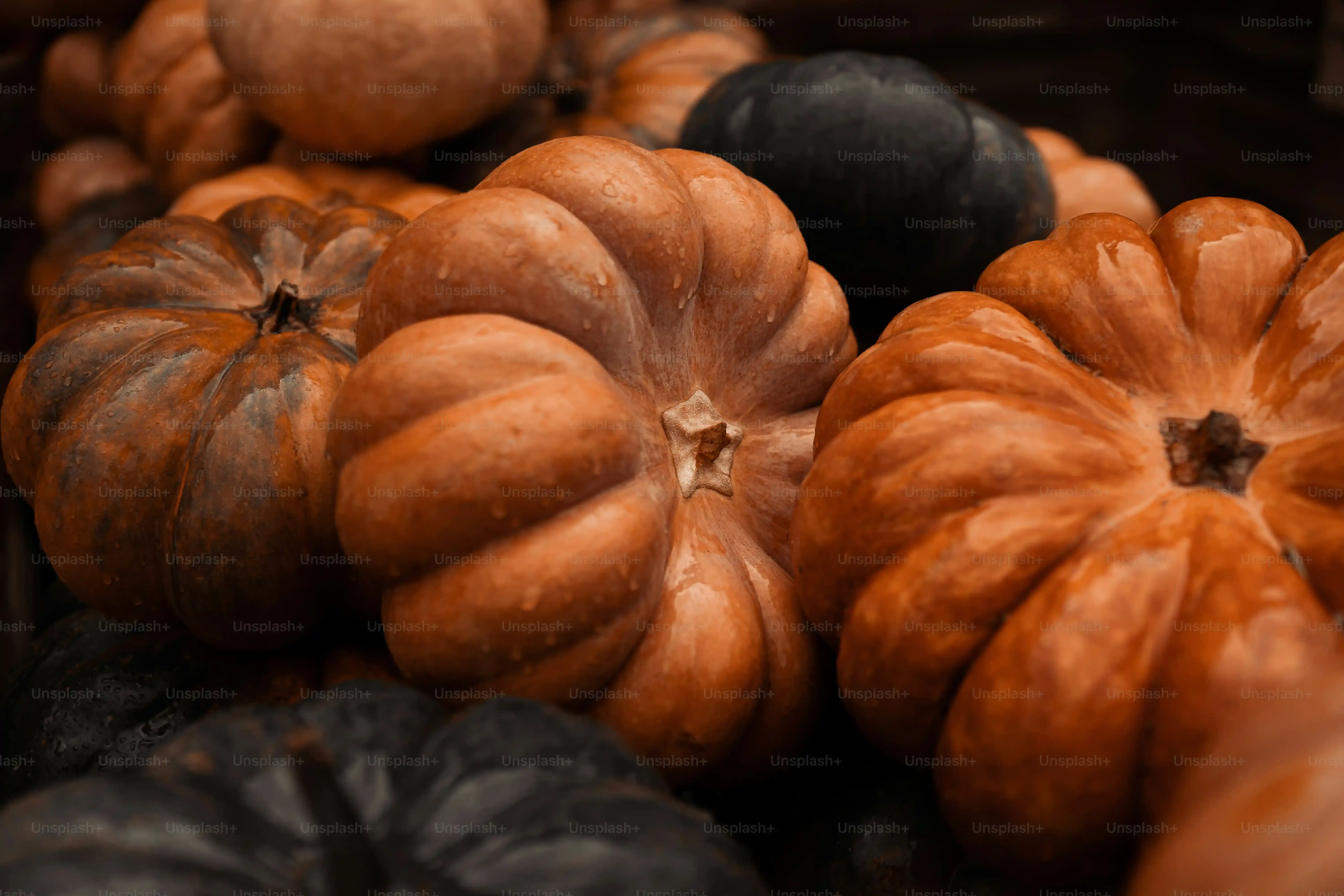Whipping Up the Basic Pumpkin Black Bean Brownies Batter