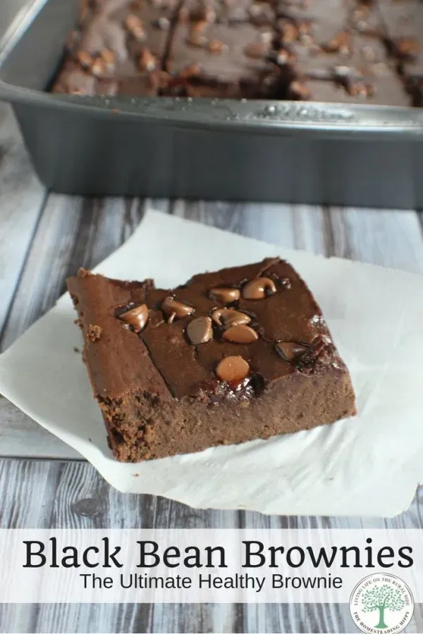 Whipping Up Your First Batch of Black Bean Brownies