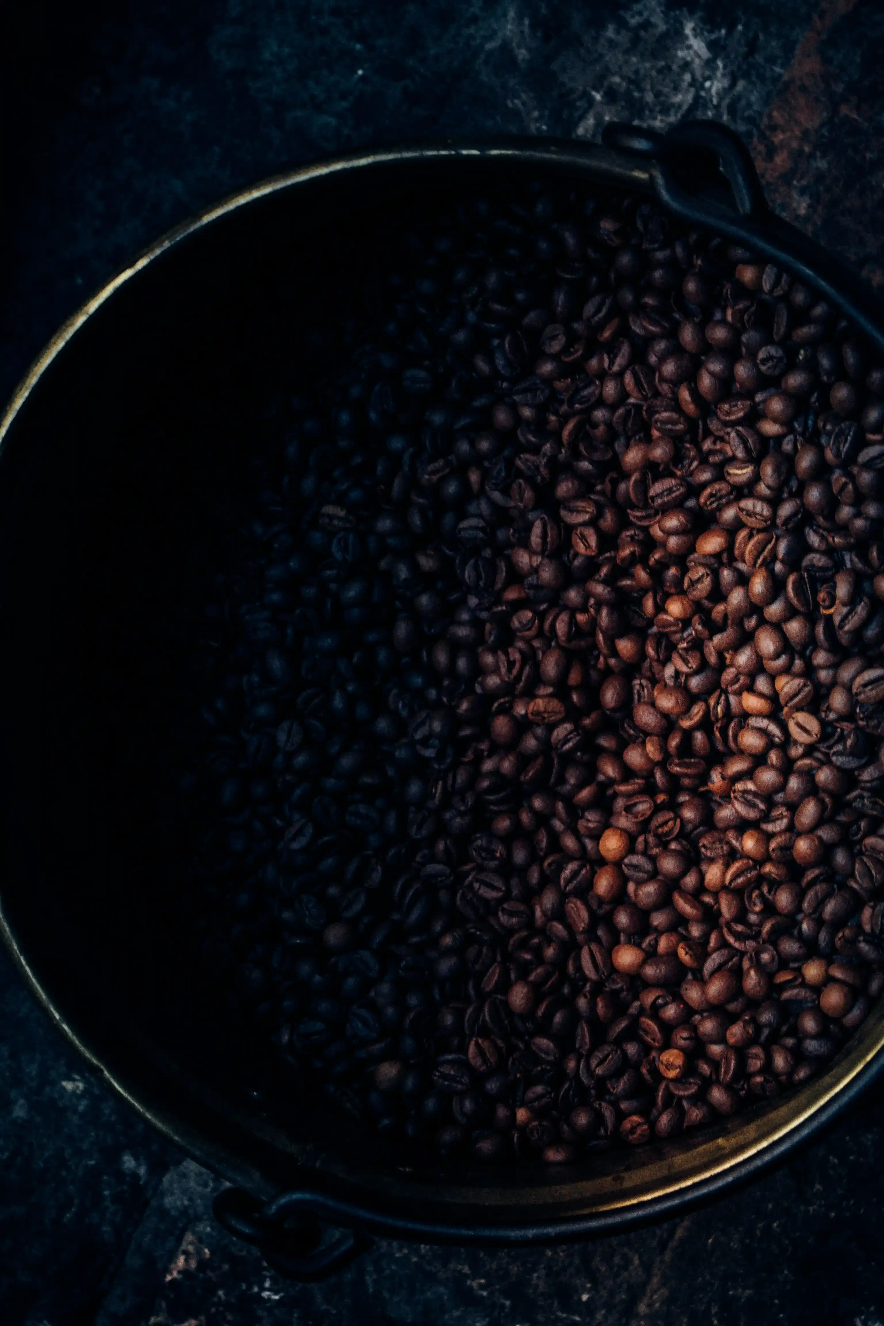 Why Black Bean Blender Brownies Are Your New GoTo Treat